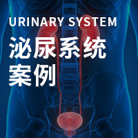 泌尿系统疾患 8 