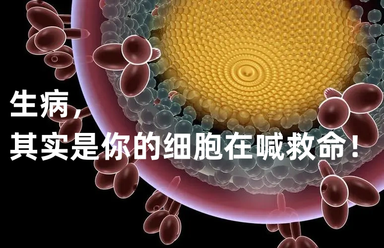 人为什么会生病——细胞病危机！细胞健康，人才会健康，细胞养护刻不容缓