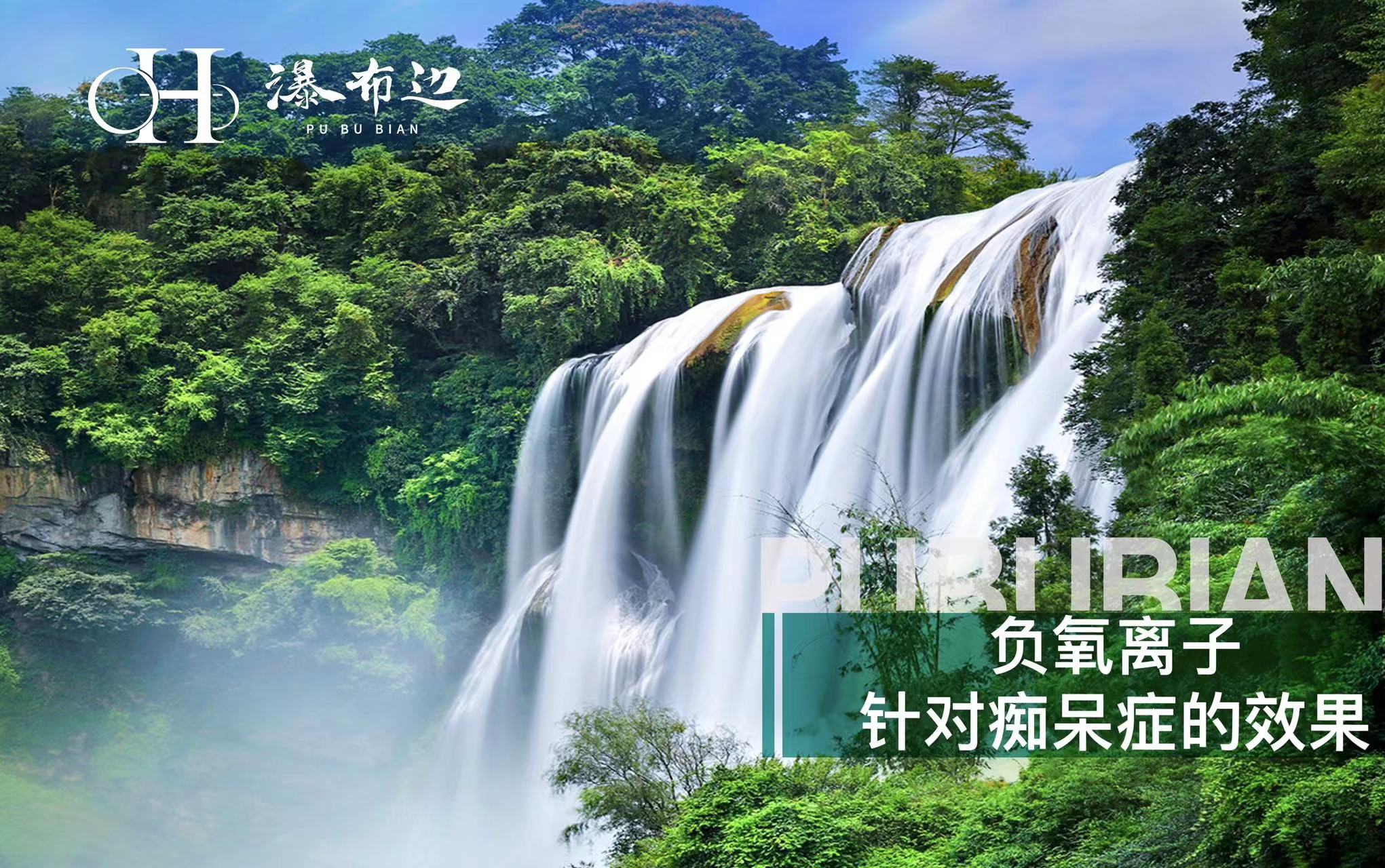 空气负氧离子疗法，对 痴呆症有效果吗？