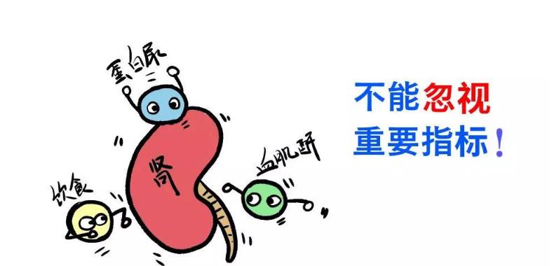 肌酐是检测肾脏功能的指标，那“ 负氧离子 ” 对肌酐有没有益处呢？