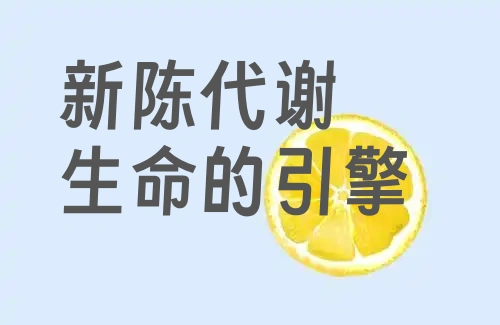 负氧离子：人体代谢 “清道夫”，高效清除体内代谢垃圾！