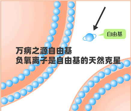 万病之源 “自由基” ：负氧离子 与 自由基的生死博弈！