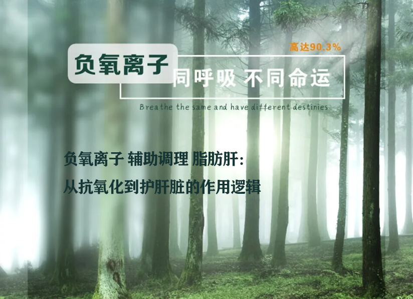 负氧离子 辅助调理 脂肪肝：从抗氧化到护肝脏的作用逻辑