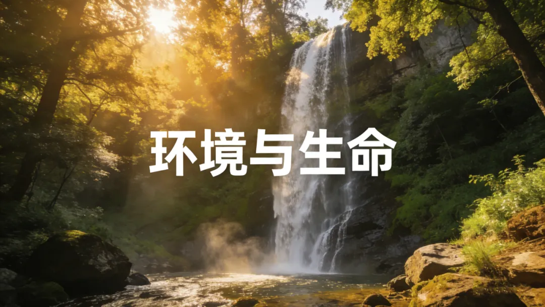 春日里的“空气维生素”：负氧离子的那些实用益处