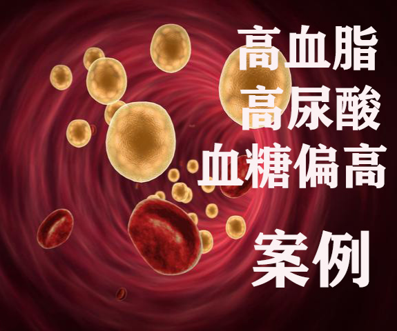 高血脂  高尿酸  血糖偏高----养疗案例 1 